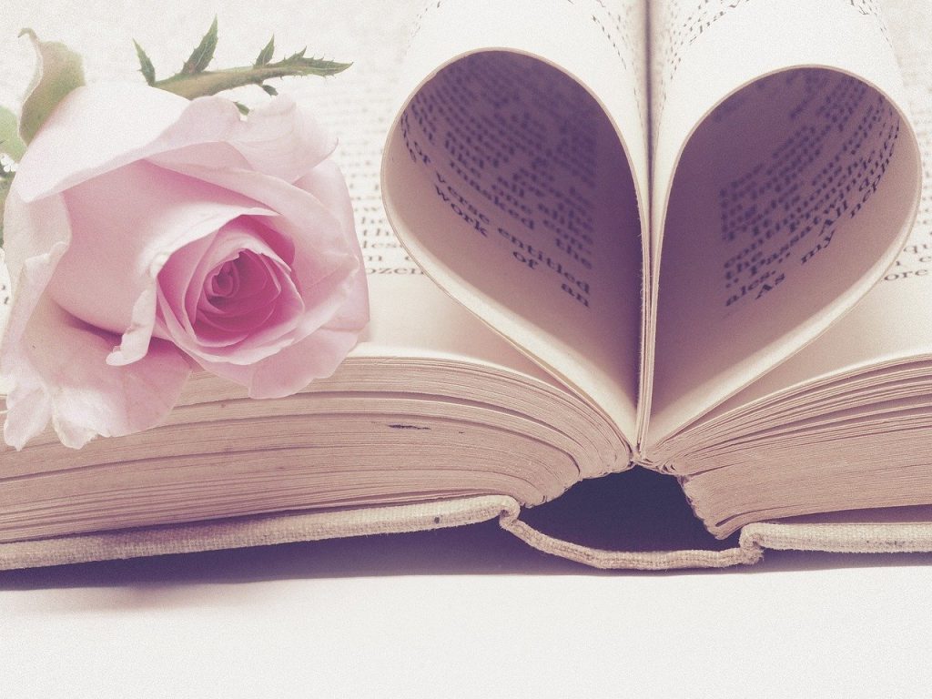 literature, book bindings, page-3060241.jpg