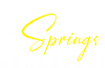 Logo Life Springs 2